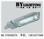 厂家批发供应路灯 低频无极灯路灯